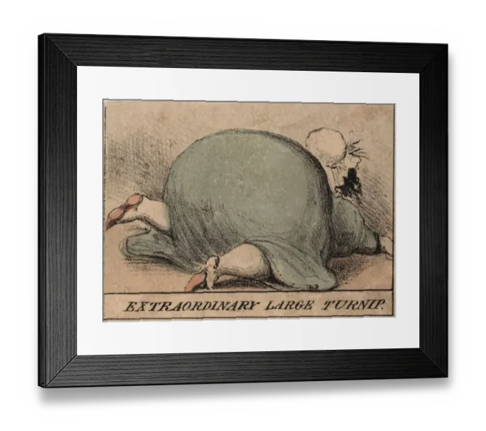 Framed Print : Large Turnip Framed Print : Large Turnip