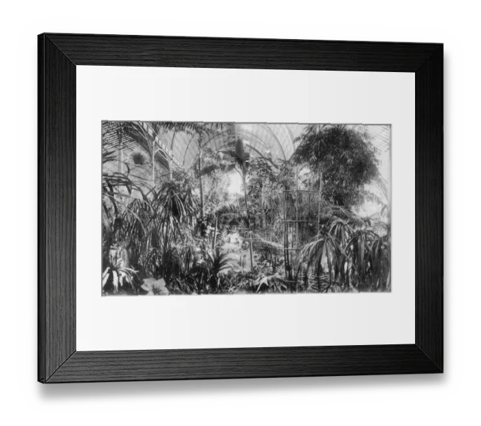 Framed Print : Winter Garden Framed Print : Winter Garden