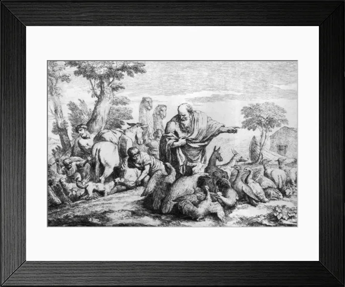 Framed Print : Two By Two Framed Print : Two By Two