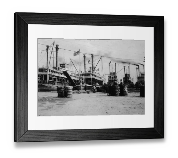 Framed Print : Loading Cotton Framed Print : Loading Cotton