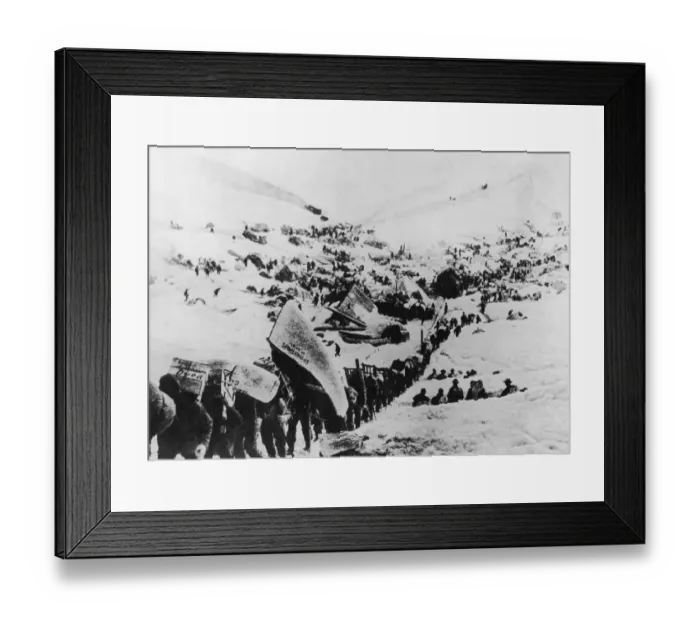 Framed Print : Gold Rush Rope Framed Print : Gold Rush Rope