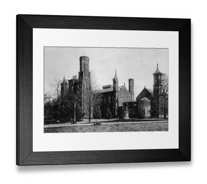 Framed Print : At The Smithsonian Framed Print : At The Smithsonian