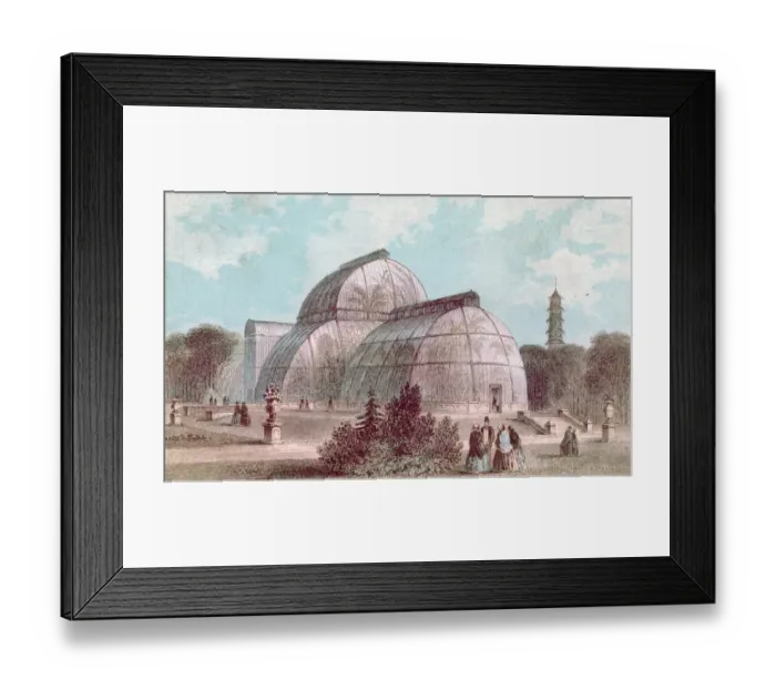 Framed Print : Kew Palm House Framed Print : Kew Palm House