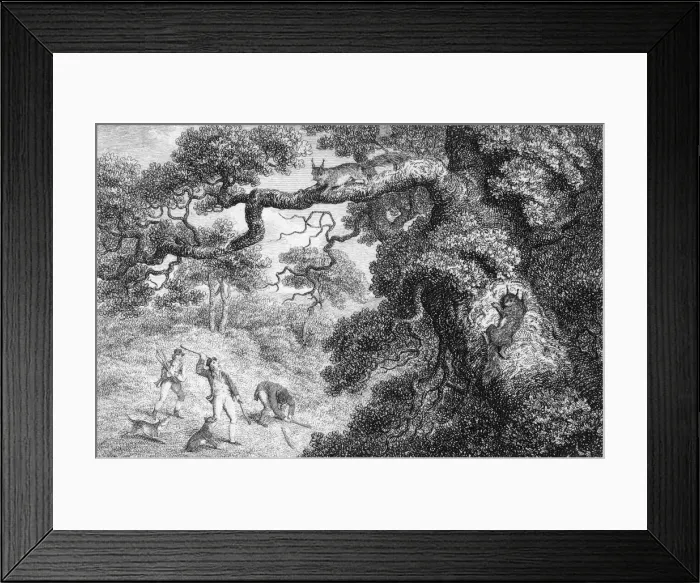 Framed Print : Squirrel Hunting Framed Print : Squirrel Hunting