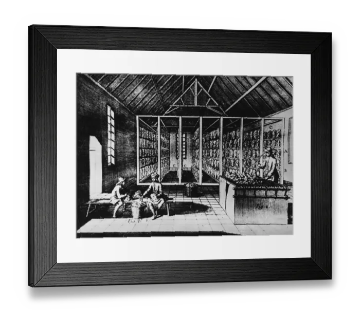 Framed Print : Raw Wool Warehouse Framed Print : Raw Wool Warehouse