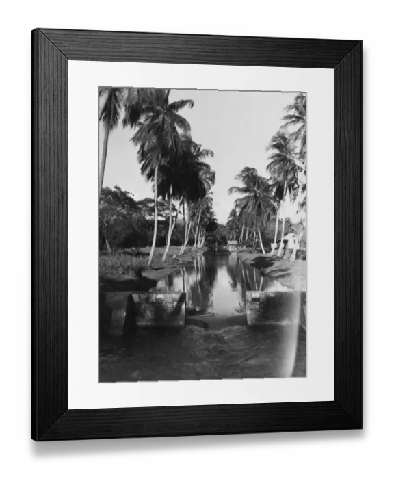 Framed Print : Jamaica Water Framed Print : Jamaica Water