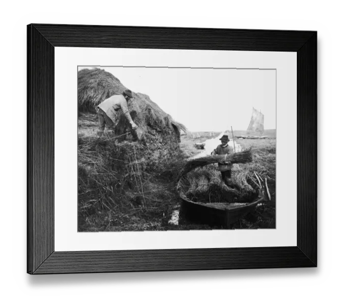Framed Print : Reed Ricking Framed Print : Reed Ricking