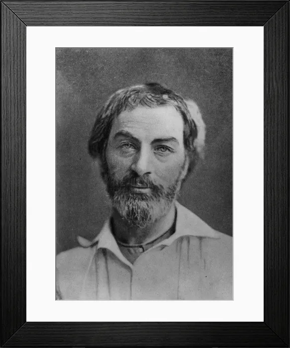 Framed Print : Walt Whitman Framed Print : Walt Whitman