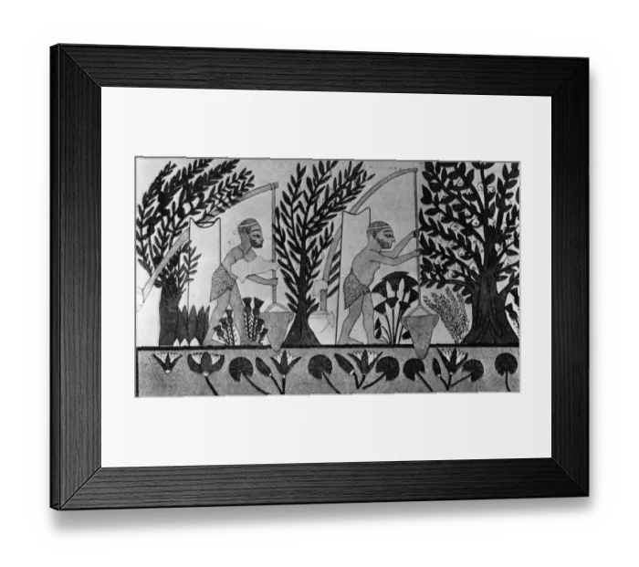 Framed Print : Irrigation Methods Framed Print : Irrigation Methods