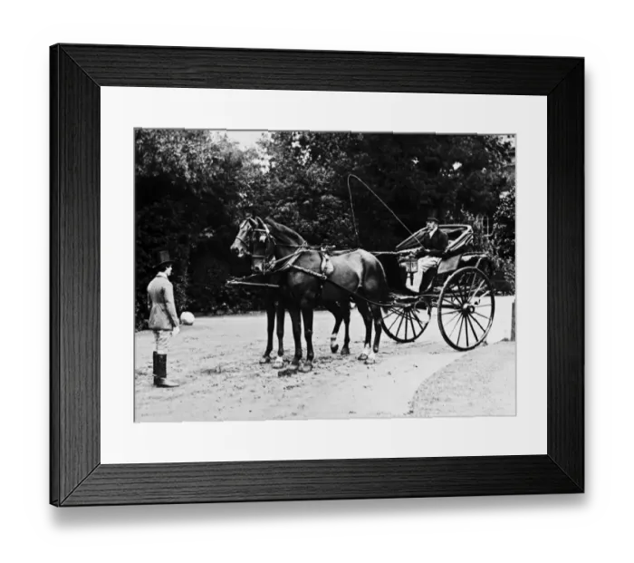 Framed Print : Horse Trap Framed Print : Horse Trap