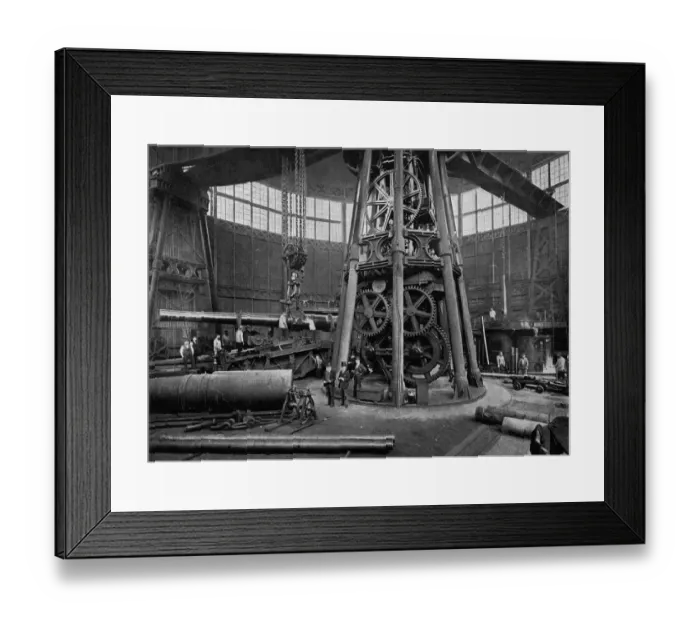 Framed Print : Great Crane Framed Print : Great Crane
