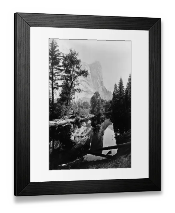 Framed Print : Washington Column Framed Print : Washington Column