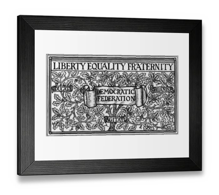 Framed Print : From Little Acorns Framed Print : From Little Acorns