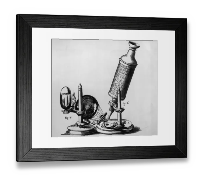 Framed Print : Hookes Microscope Framed Print : Hookes Microscope