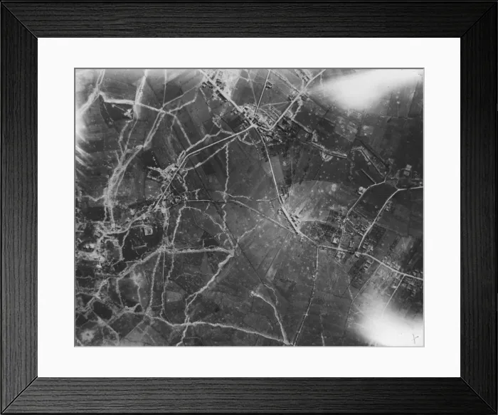 Framed Print : Le Plantin Framed Print : Le Plantin