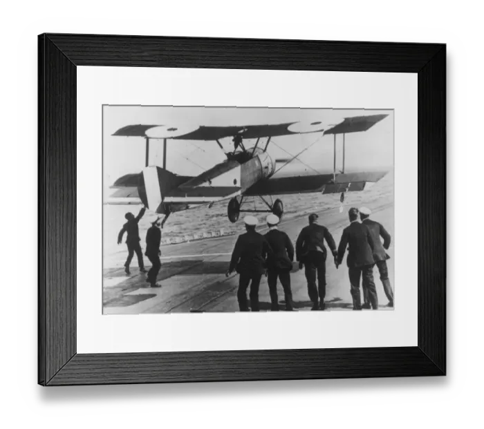Framed Print : Caught Landing Framed Print : Caught Landing