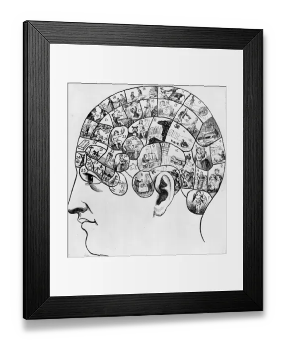 Framed Print : Diagram Of Head Framed Print : Diagram Of Head