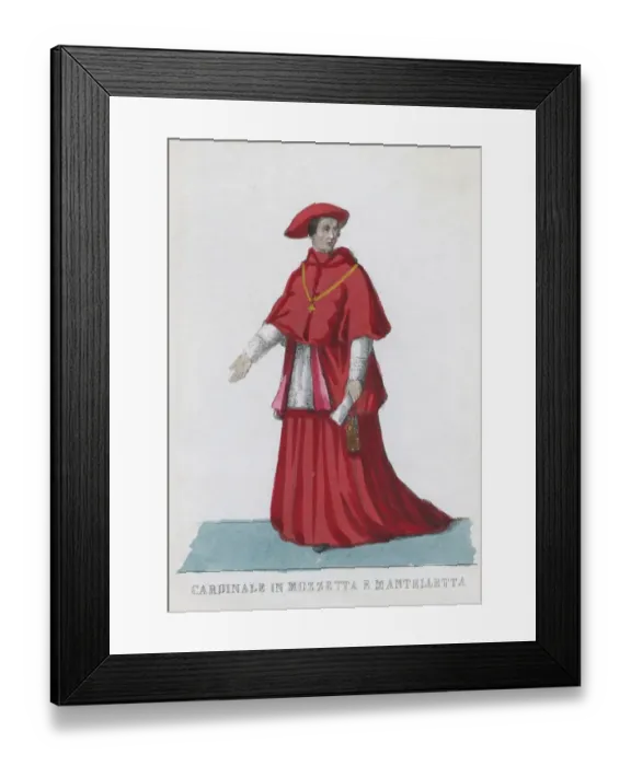 Framed Print : Catholic Cardinal Framed Print : Catholic Cardinal