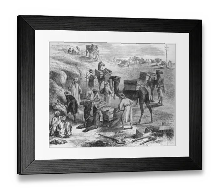 Framed Print : Suez Canal Framed Print : Suez Canal