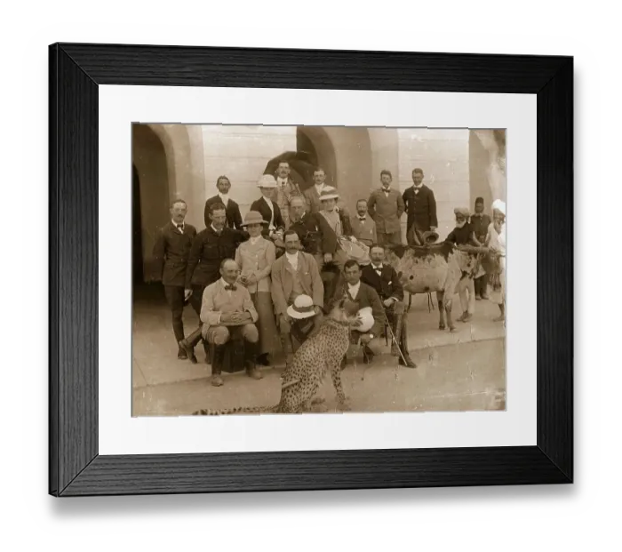 Framed Print : Pet Cheetah Framed Print : Pet Cheetah