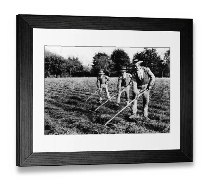 Framed Print : Les Ratisseurs Framed Print : Les Ratisseurs