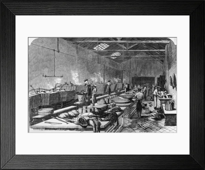 Framed Print : Meat Processing Framed Print : Meat Processing