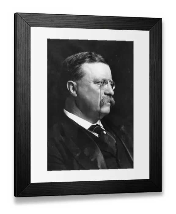 Framed Print : Roosevelt Portrait Framed Print : Roosevelt Portrait