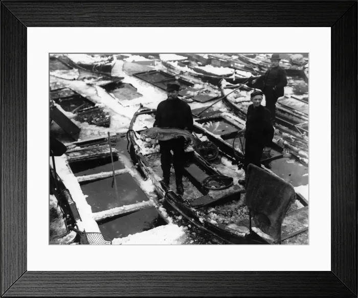 Framed Print : Fish Market Framed Print : Fish Market