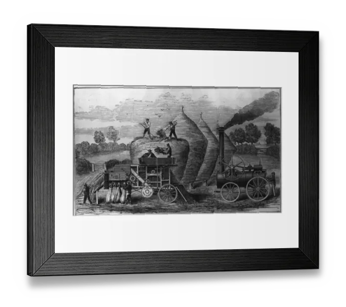 Framed Print : Steam Threshing Framed Print : Steam Threshing