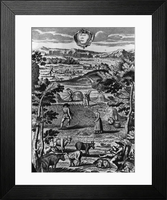 Framed Print : Haymaking Time Framed Print : Haymaking Time