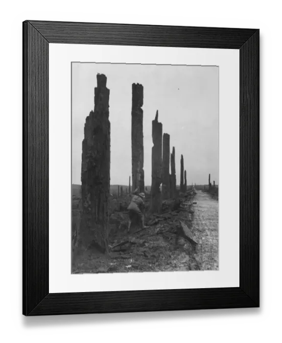 Framed Print : Flanders Aftermath Framed Print : Flanders Aftermath