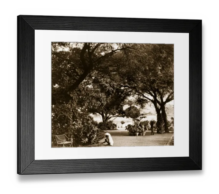 Framed Print : Colonial Gardens Framed Print : Colonial Gardens