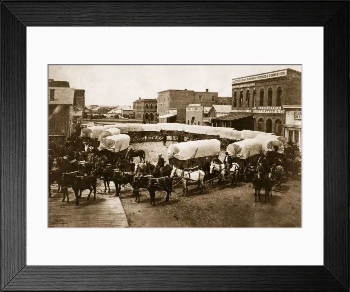 Framed Print : Covered Wagons Framed Print : Covered Wagons
