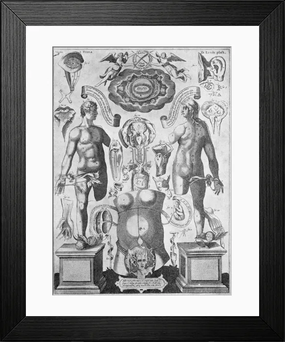 Framed Print : Pinax Microcosmographicus Framed Print : Pinax Microcosmographicus