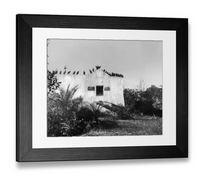 Framed Print : Tower Of Silence Framed Print : Tower Of Silence