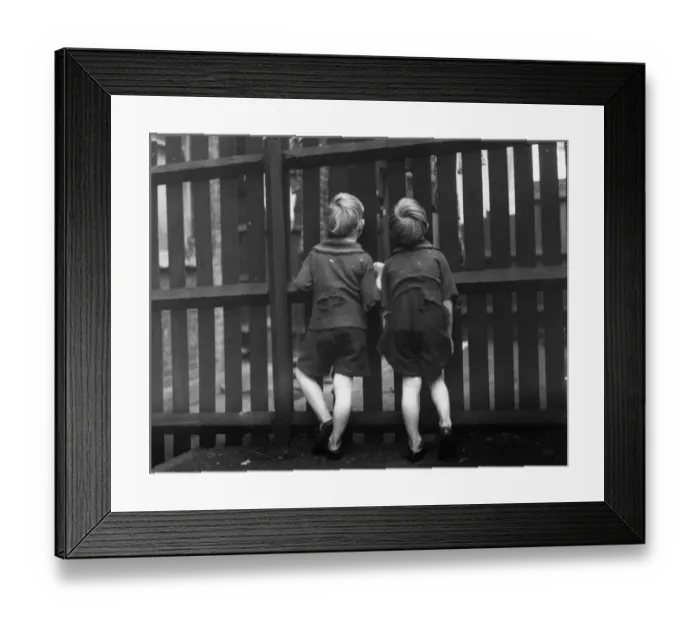 Framed Print : Through The Fence Framed Print : Through The Fence