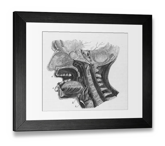 Framed Print : Vertical Section Framed Print : Vertical Section