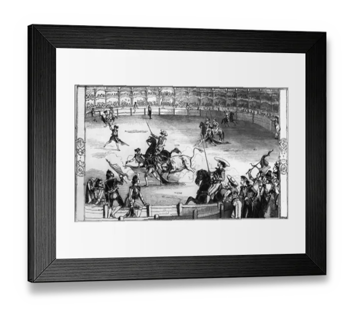 Framed Print : Spanish Bullfight Framed Print : Spanish Bullfight