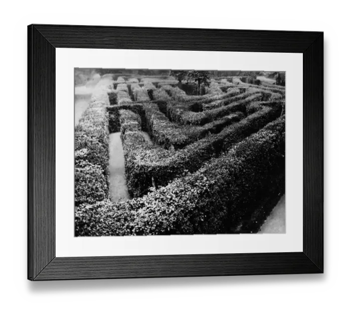 Framed Print : Hampton Maze