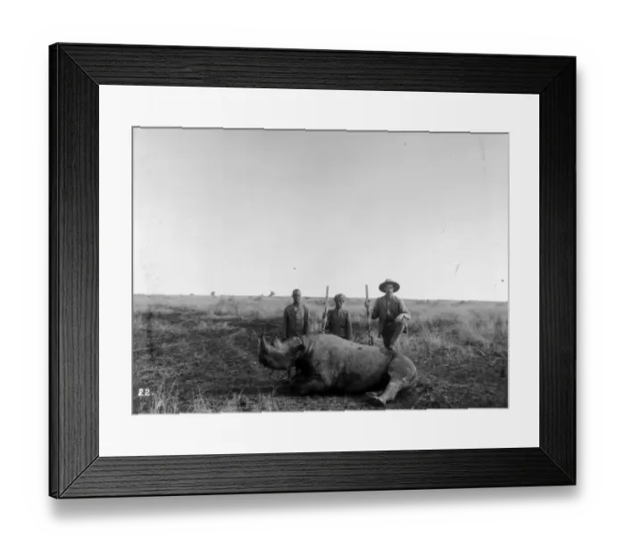 Framed Print : Rhino Hunt Framed Print : Rhino Hunt