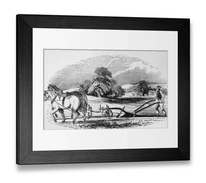Framed Print : Ploughing The Field Framed Print : Ploughing The Field