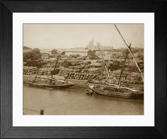 Framed Print : Cotton Dock Framed Print : Cotton Dock