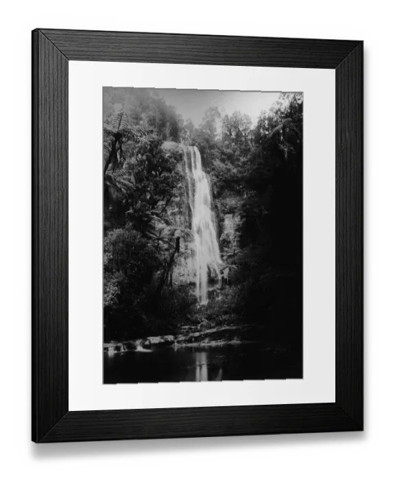Framed Print : Waitakere Falls Framed Print : Waitakere Falls