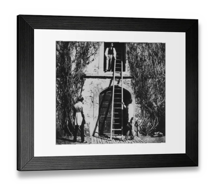 Framed Print : The Ladder Framed Print : The Ladder