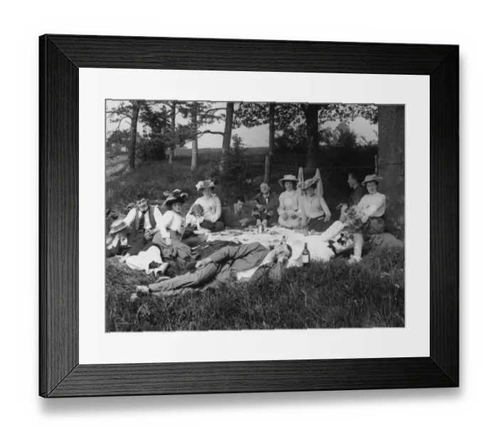Framed Print : Picnickers Framed Print : Picnickers