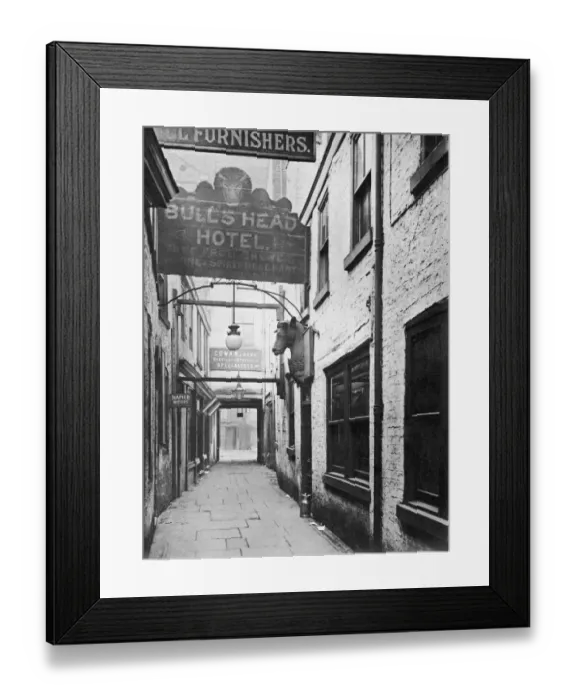 Framed Print : Bulls Head Framed Print : Bulls Head