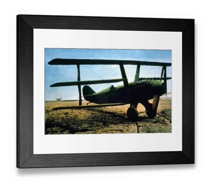 Framed Print : Curtiss Sociable Triplane Framed Print : Curtiss Sociable Triplane