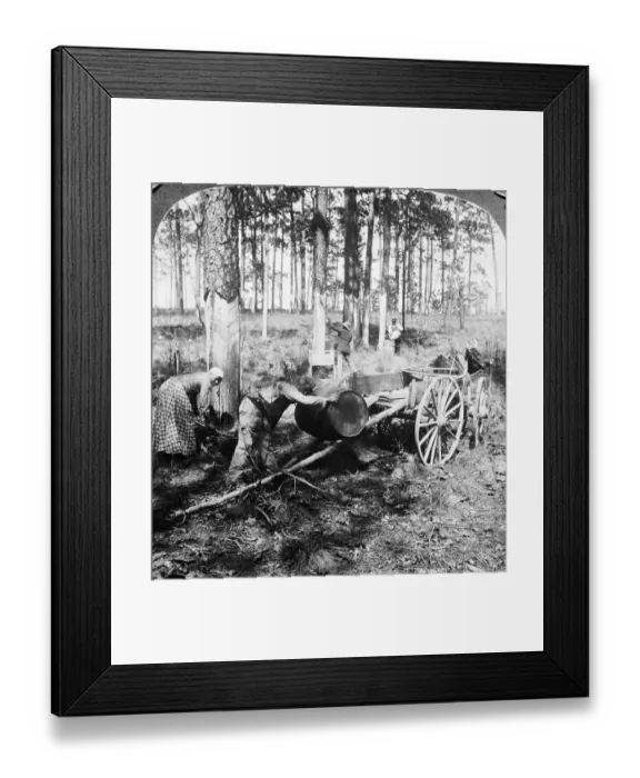 Framed Print : Hard At Work Framed Print : Hard At Work