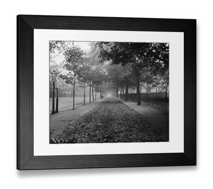 Framed Print : Birdcage Walk