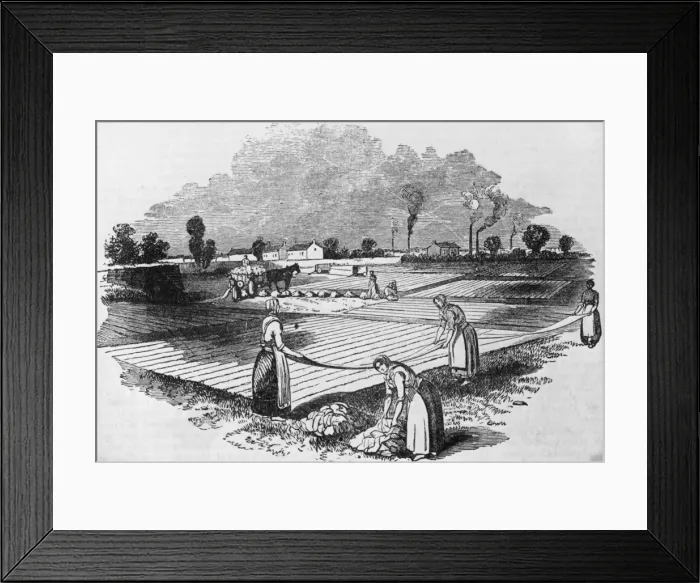 Framed Print : Bleaching Grounds Framed Print : Bleaching Grounds